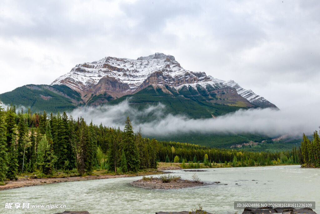 雪山下的森林河流美景