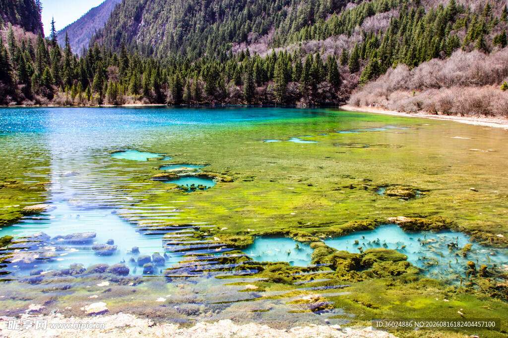 九寨沟绝美清澈湖水景观
