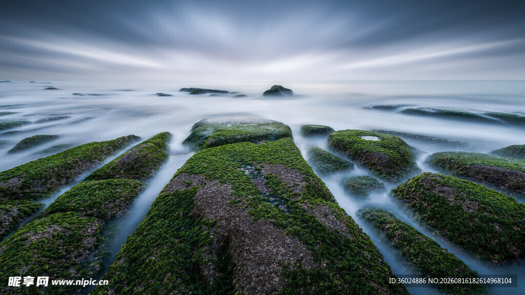 海岸湿地独特自然景观