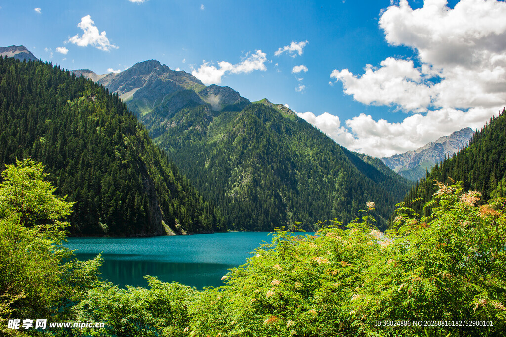 高山湖畔美景