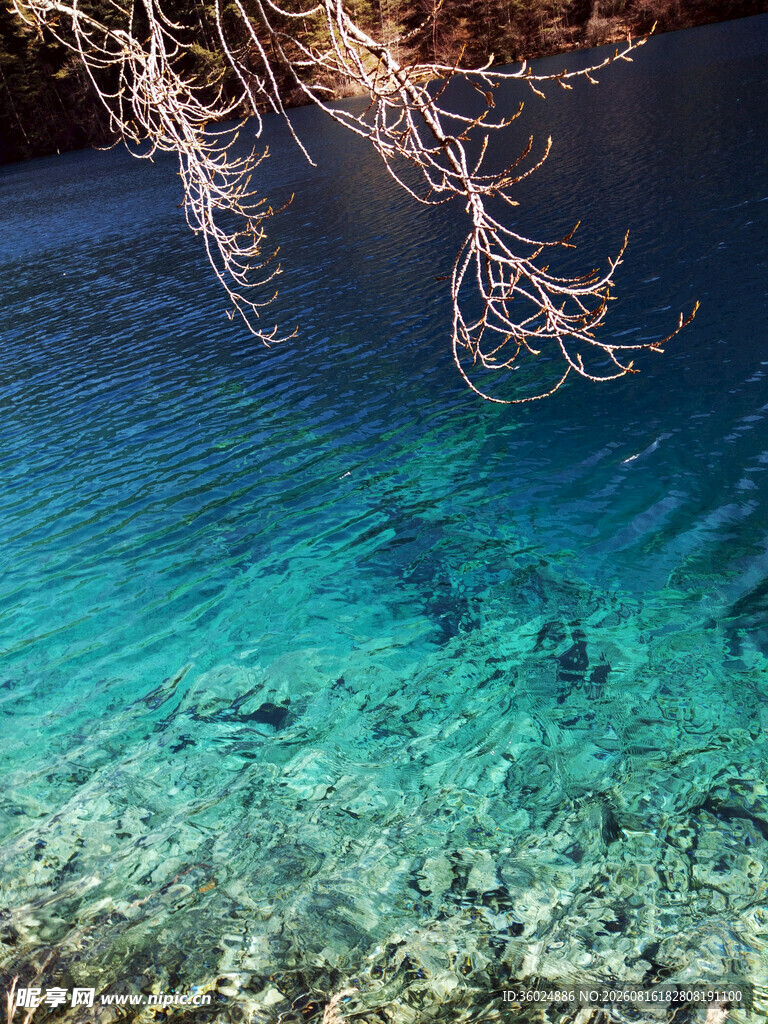 清澈蓝湖中的水下景象