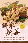 鲜嫩新姜