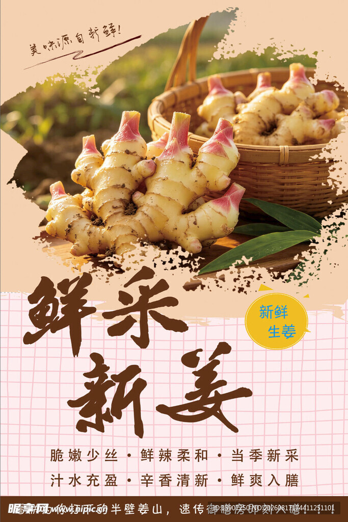 鲜嫩新姜