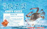 梭子蟹海鲜