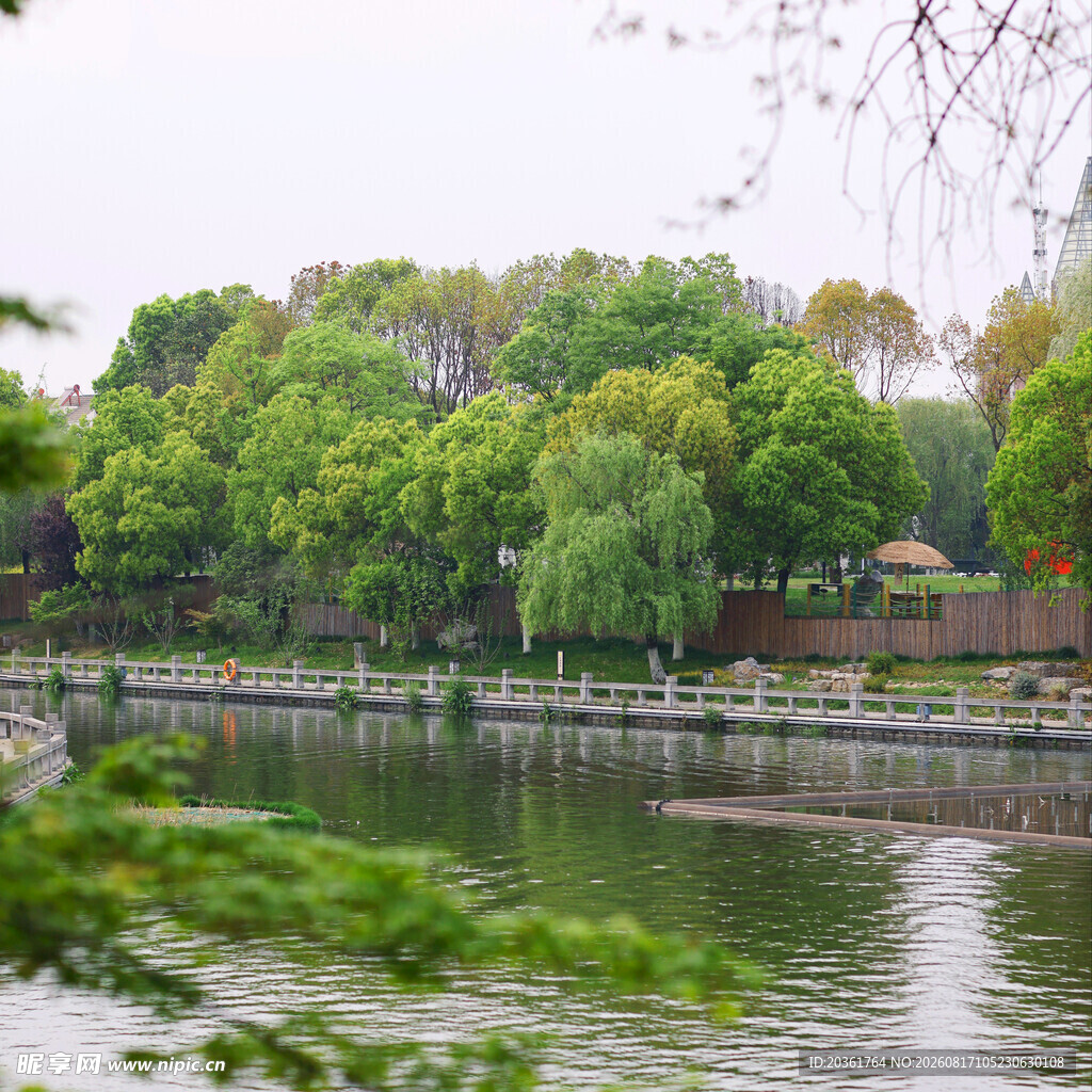 湖畔绿树成荫的宁静景致