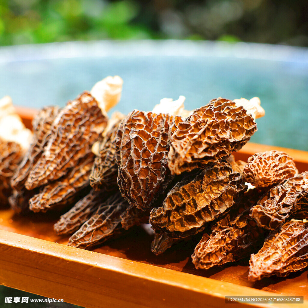 木盘上的美味羊肚菌