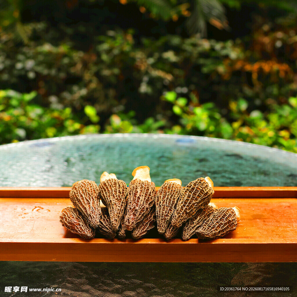 木台上摆放的新鲜羊肚菌