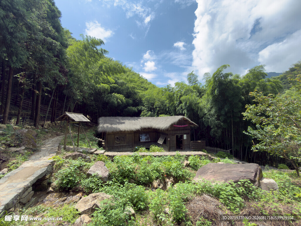 山林中的古朴小屋与绿植