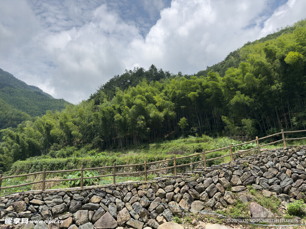 山间石墙旁的葱郁景致