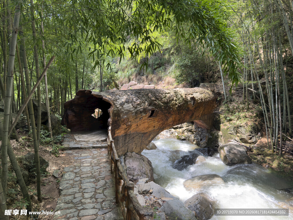 竹林中的流水石桥景观