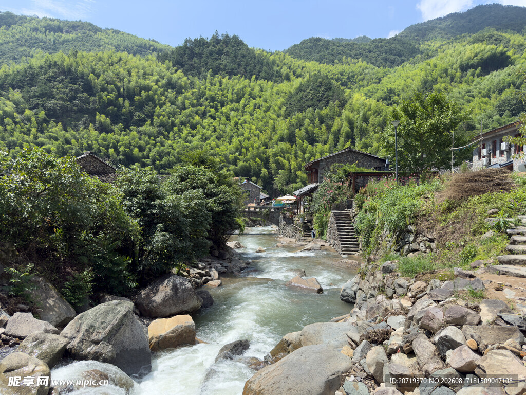 山间溪流穿林而过