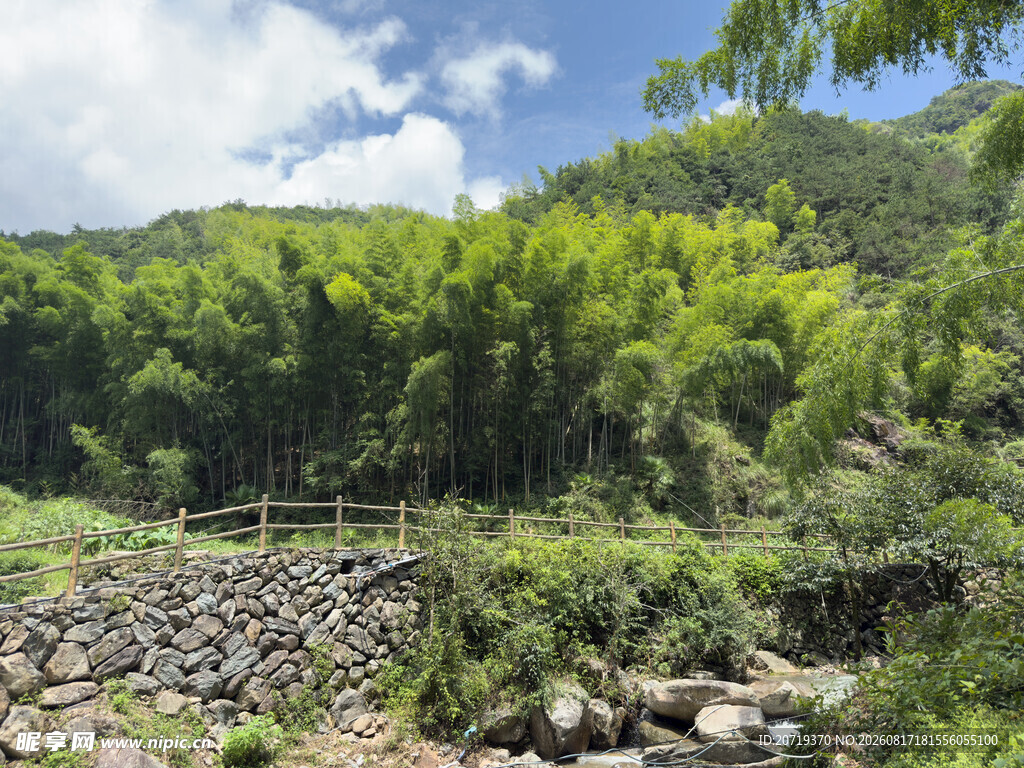 山间竹林小溪自然风光