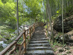 山林中的阶梯步道