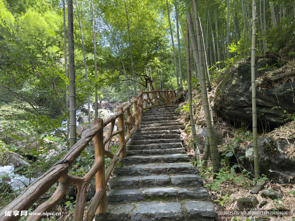 山林中的阶梯步道