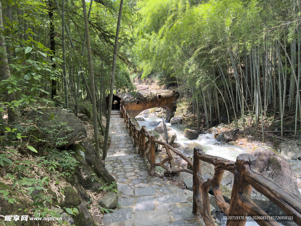 竹林间的木质步道景观