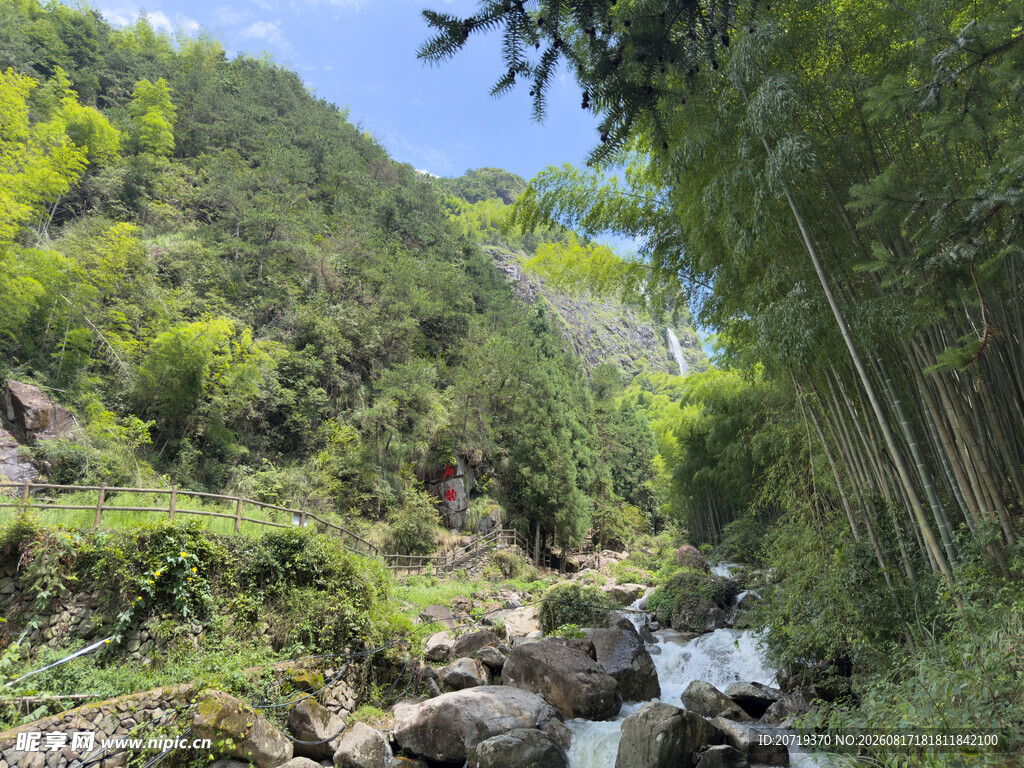 山间溪流伴翠竹美景