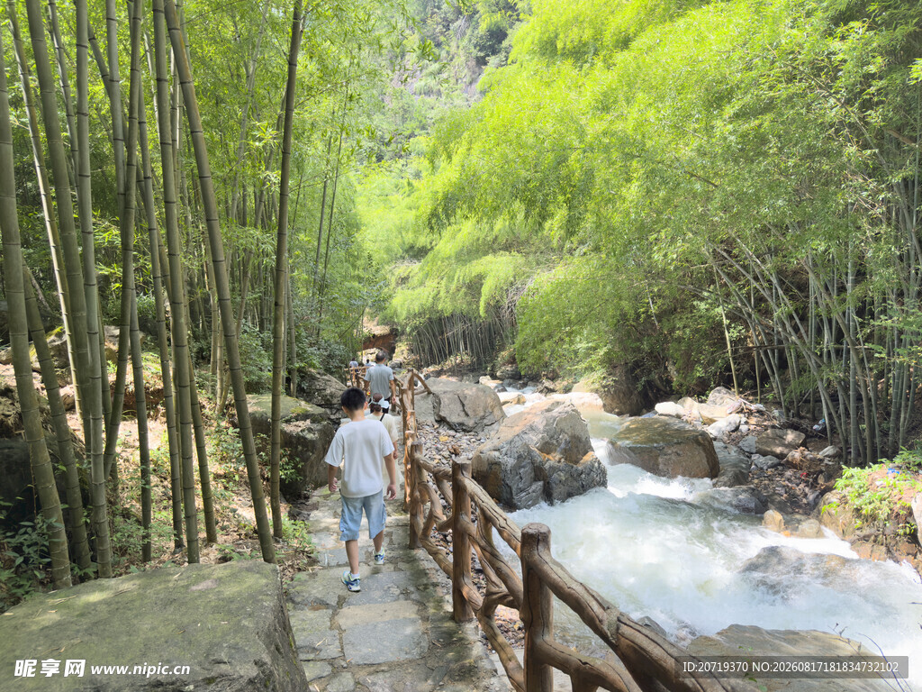 漫步竹林溪流间小道