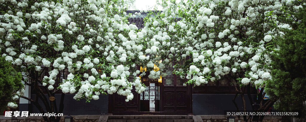 繁花掩映下的古朴建筑