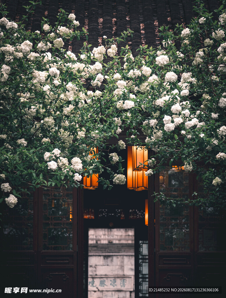 繁花簇拥的花
