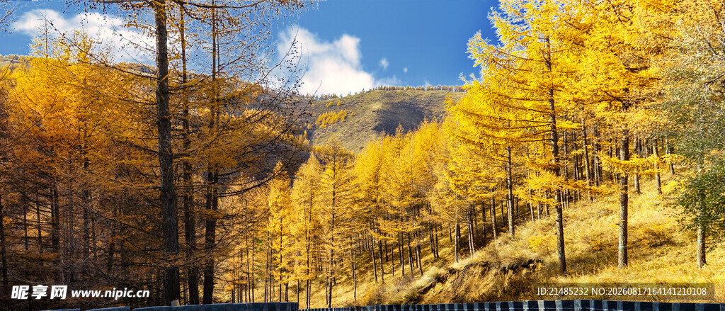 秋日山林美景