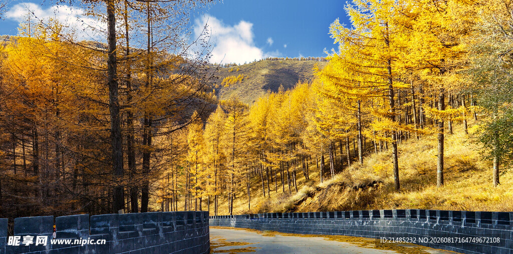 秋日山林公路美景