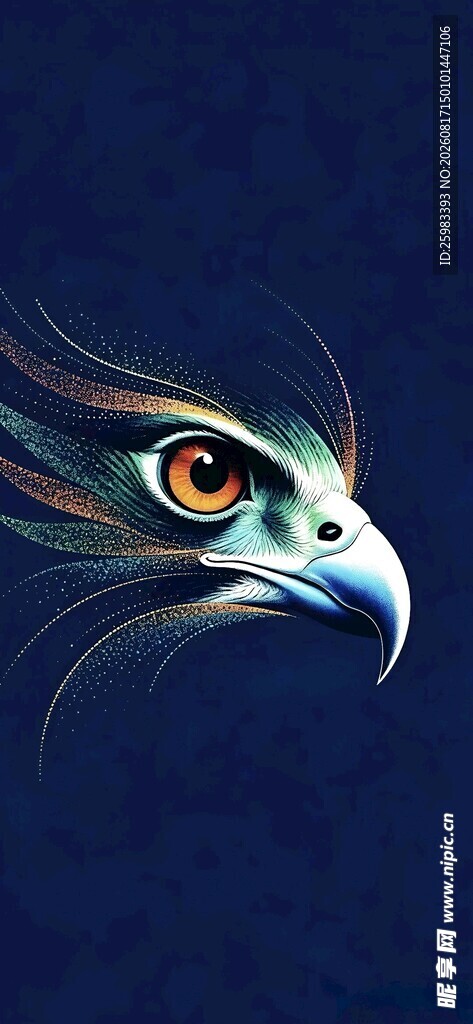 鹰眼插画