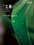 立春海报 