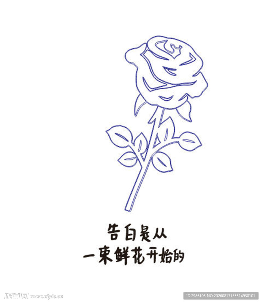 适量花束