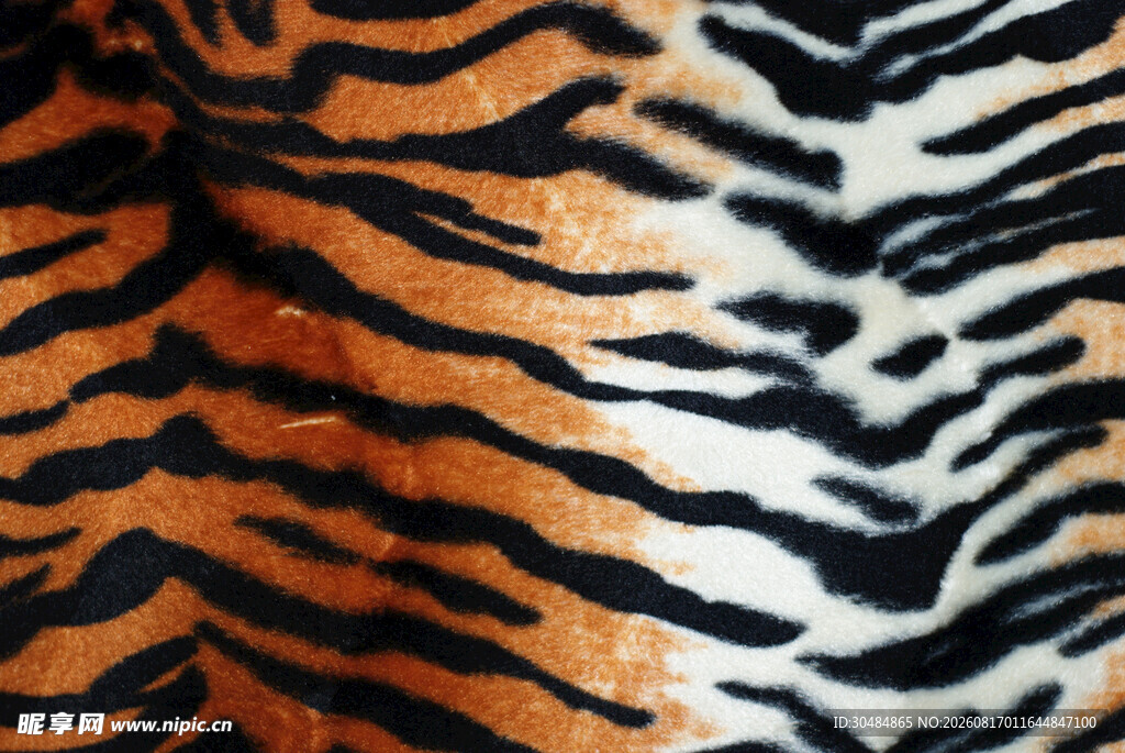 虎纹图案特写
