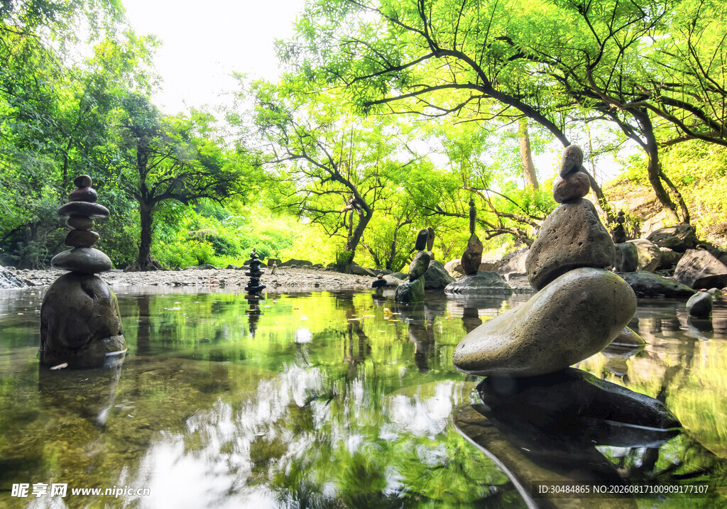 静谧林间水景