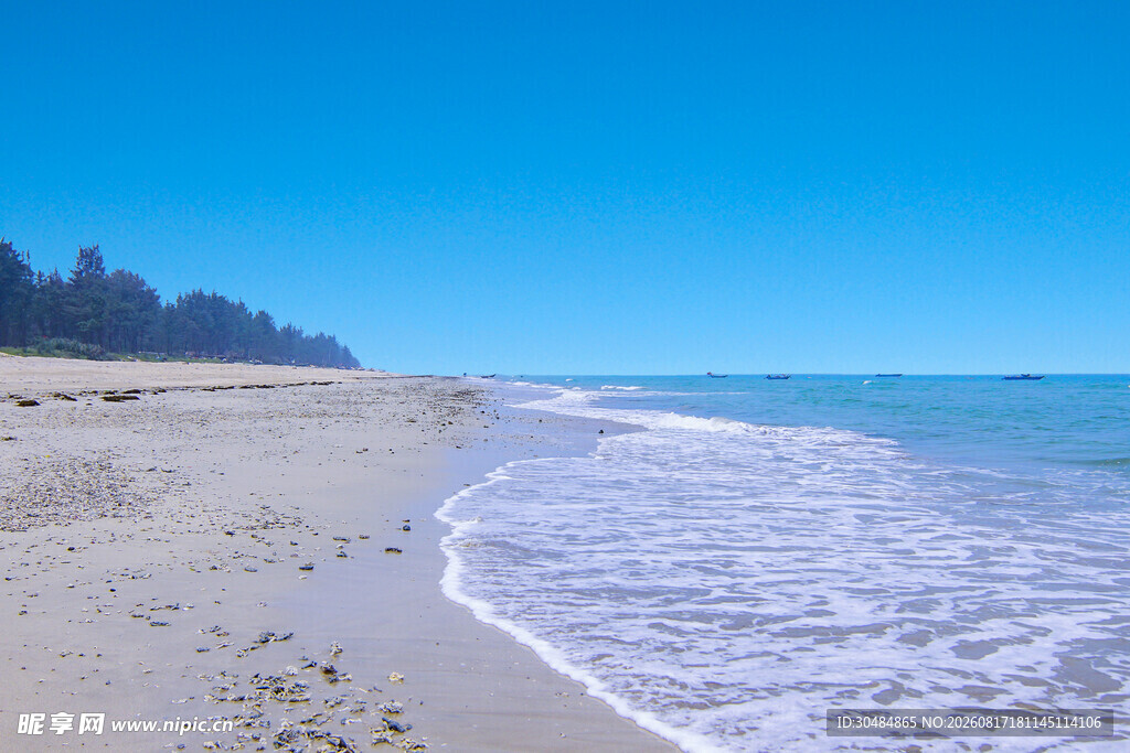 美丽海滨沙滩海浪景观