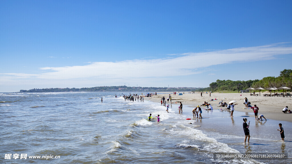 夏日海滩欢乐戏水场景