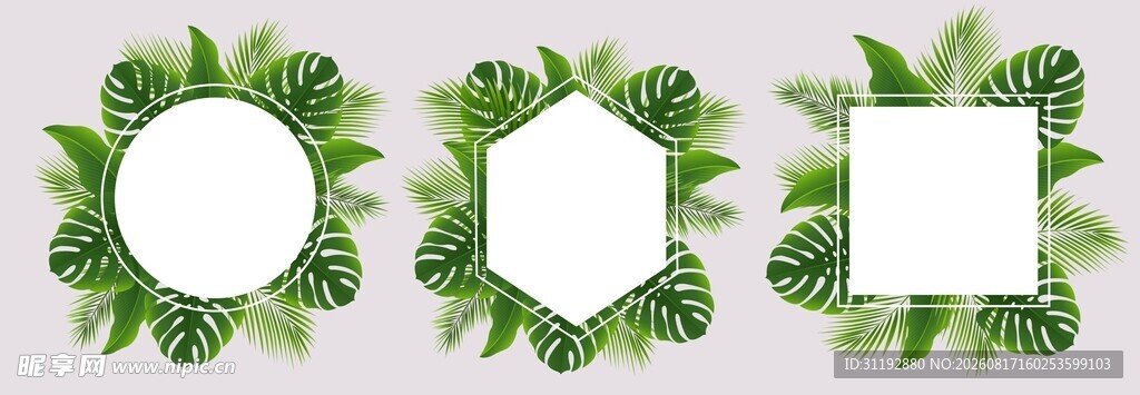 热带绿植边框