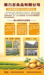 食品公司宣传