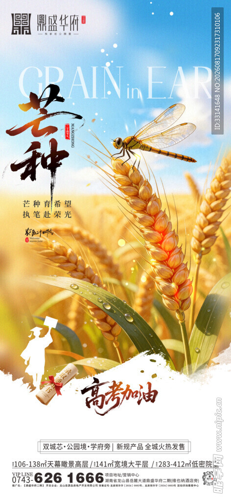 芒种