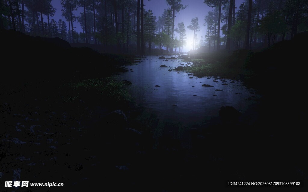 幽森暗夜中的静谧水光