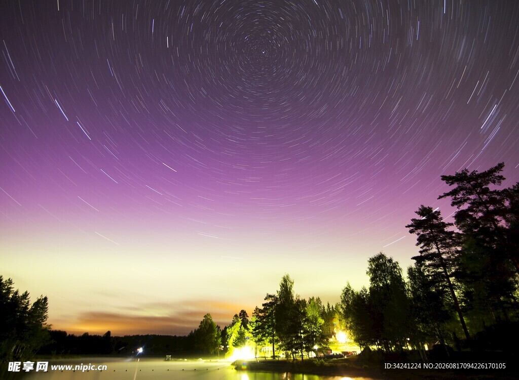 夜空下的梦幻森林与星轨