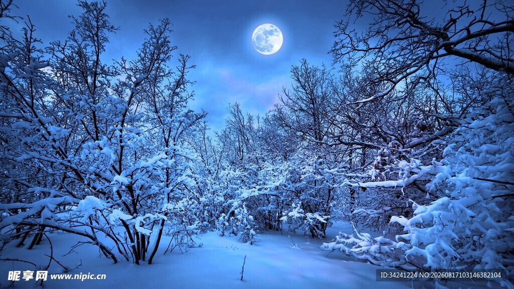 雪夜森林月光美景