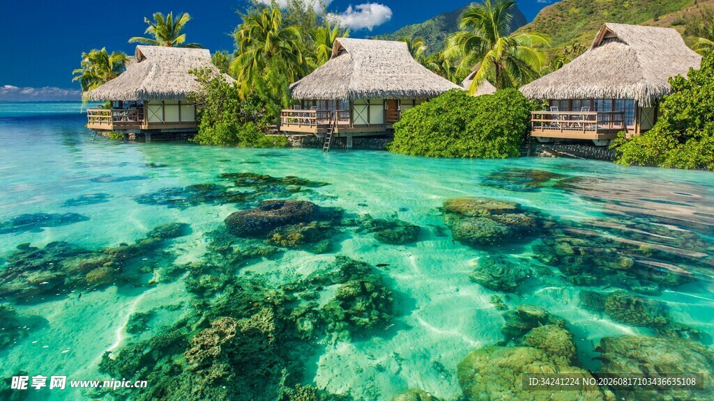 水上度假小屋碧海蓝天