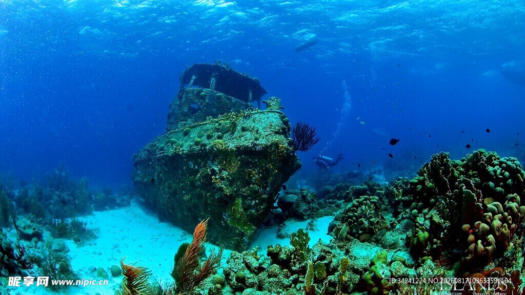 海底沉船与多彩珊瑚景观