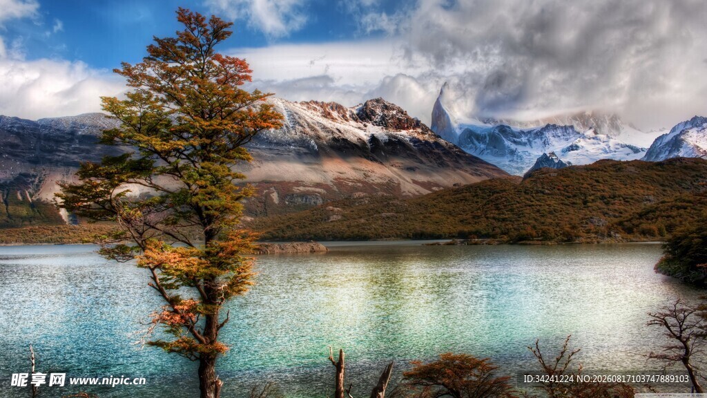 湖畔孤树与壮丽山景