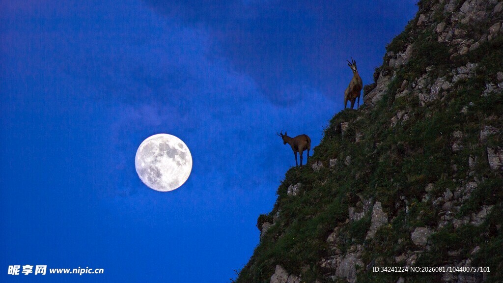 山间明月夜