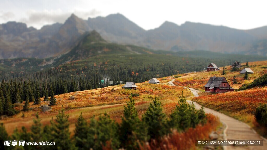 山间秋色美景