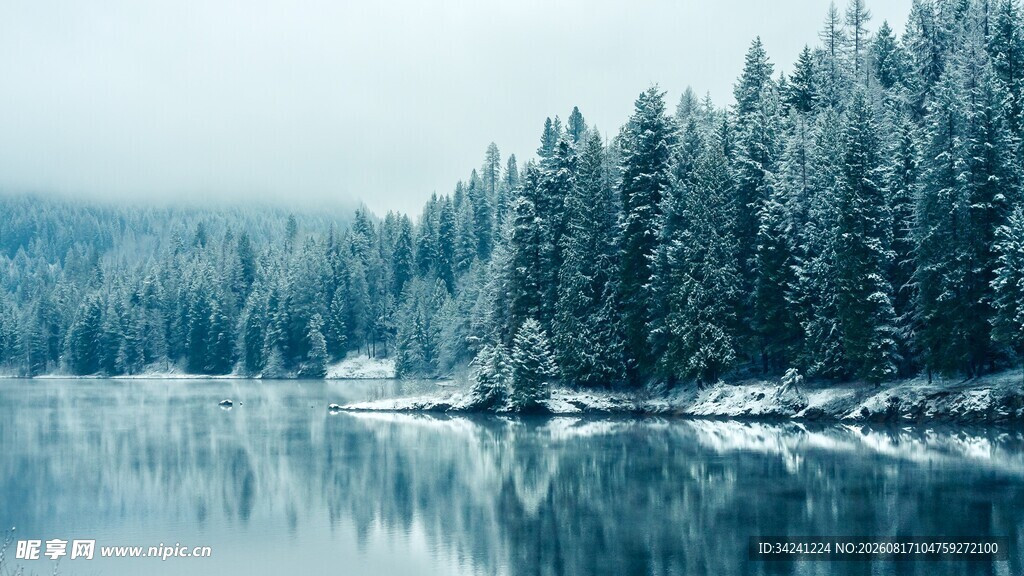冬日静谧雪景中的森林湖泊