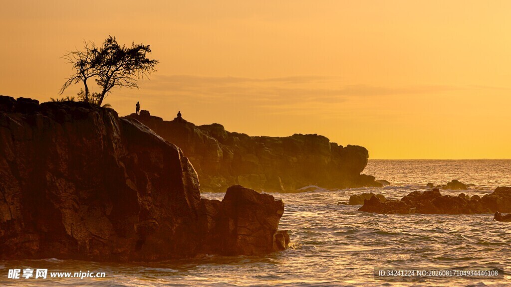 夕阳下海边孤树岩石美景