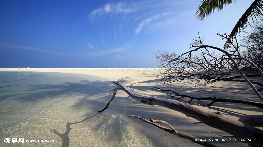 美丽海岛沙滩风景