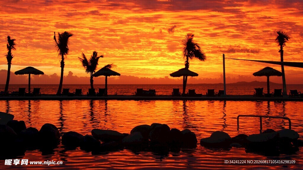 夕阳下的海滨椰林美景