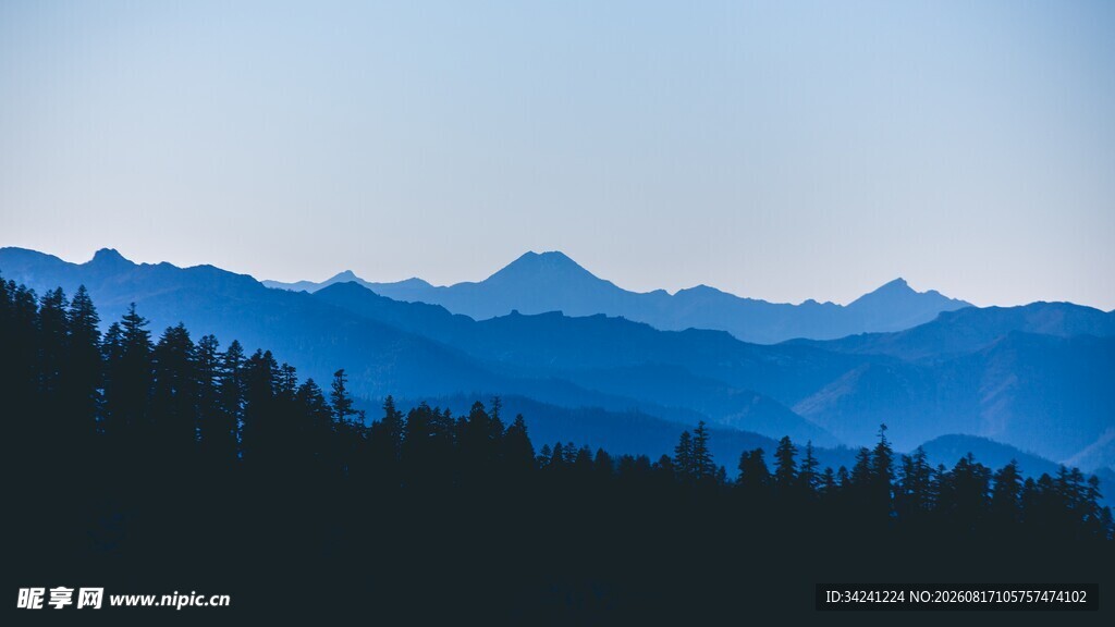 远山森林美景