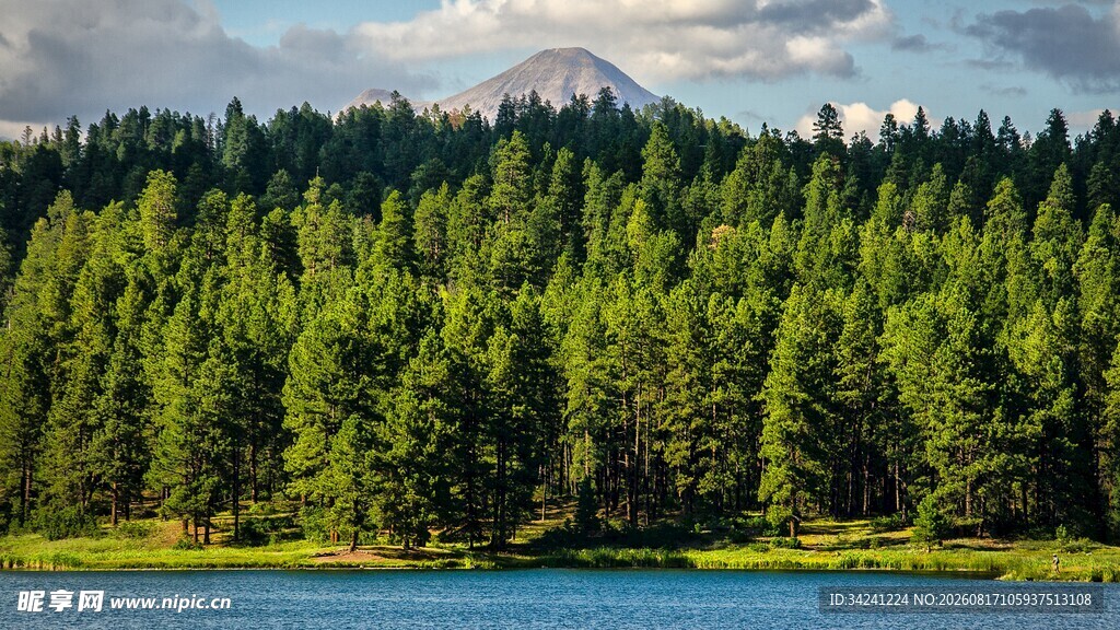 湖畔森林与远山美景