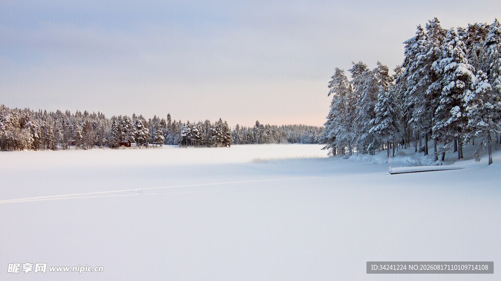 冬日雪覆森林湖泊美景